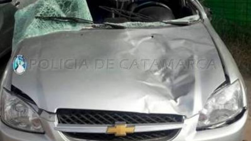 Dos heridos tras chocar con una mula en la ruta 60