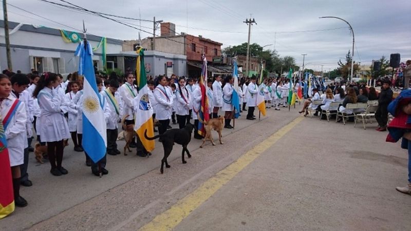 Promesa de Lealtad a la Constitución Nacional, Provincial y Carta Orgánica