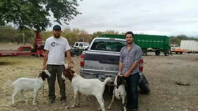 Agronomía de Zona: mejoramiento de raza caprina