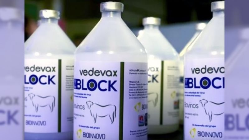 La primera vacuna contra la diarrea bovina es argentina