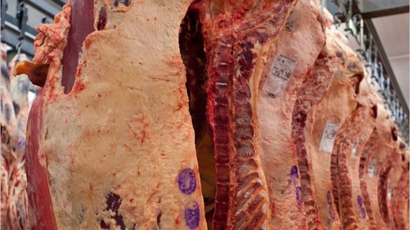 Argentina exportará carne a Japón por primera vez en su historia