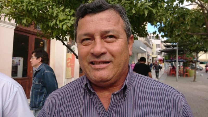 Analizarán los daños provocados por langostas en provincias del NOA