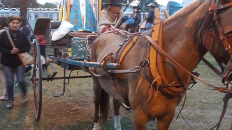 Más de 100 gauchos acompañan a la Virgen hacia Tafí del Valle