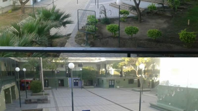 “Contundente” adhesión al paro universitario