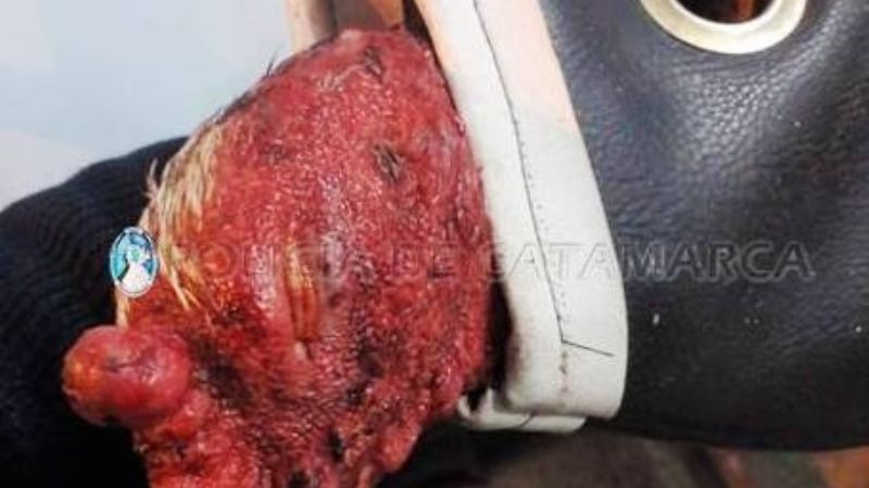 Secuestran tres gallos de riña y varios elementos en Valle Viejo