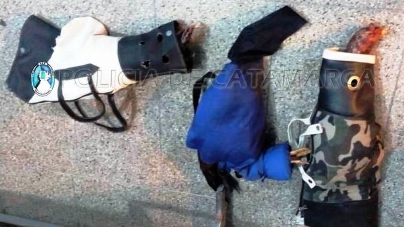 Secuestran tres gallos de riña y varios elementos en Valle Viejo