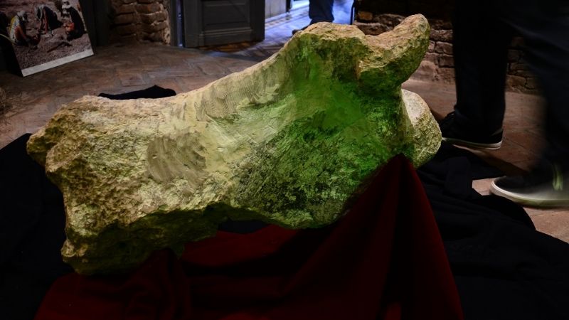 Descubren un perezoso gigante de 700 mil años de antigüedad