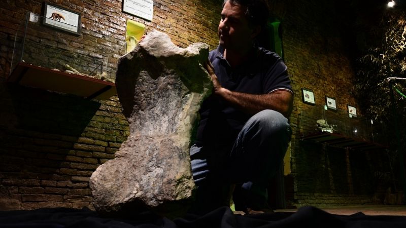 Descubren un perezoso gigante de 700 mil años de antigüedad