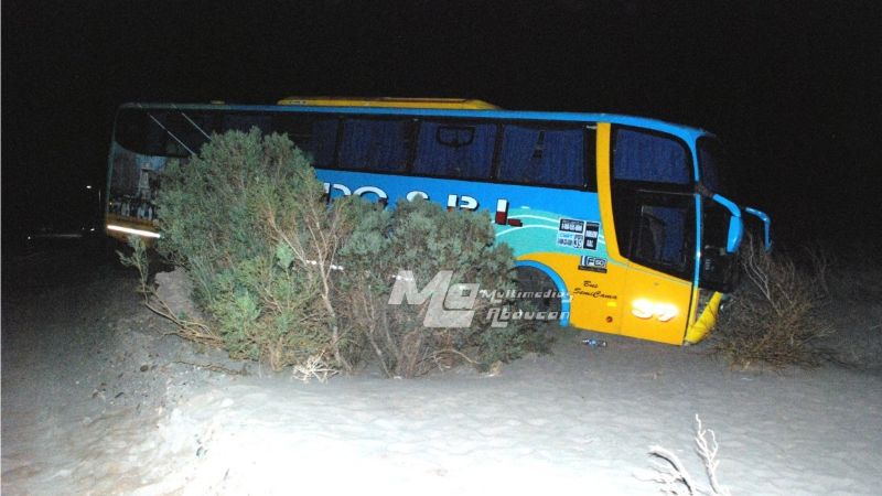 Chofer de colectivo se descompuso, chocó y murió