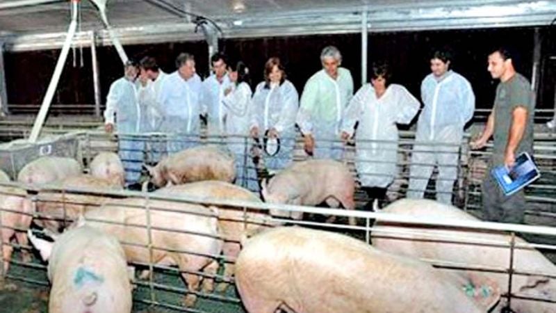 La Rioja prohibió el ingreso de carne de cerdo del exterior