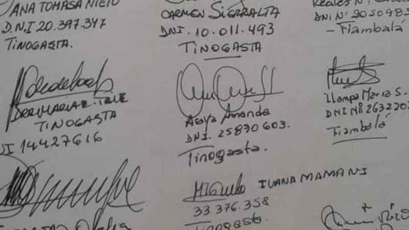 Mujeres peronistas del Oeste piden por la Ley de Paridad de Género