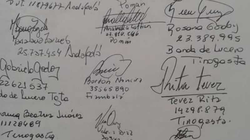 Mujeres peronistas del Oeste piden por la Ley de Paridad de Género