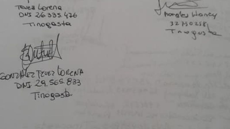 Mujeres peronistas del Oeste piden por la Ley de Paridad de Género