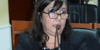 Diputada Cecilia Guerrero.