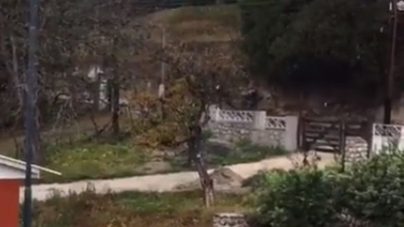 Comenzó a nevar en Las Juntas