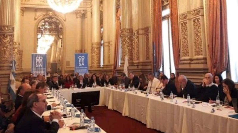 El ministro de Salud en el COFESA 