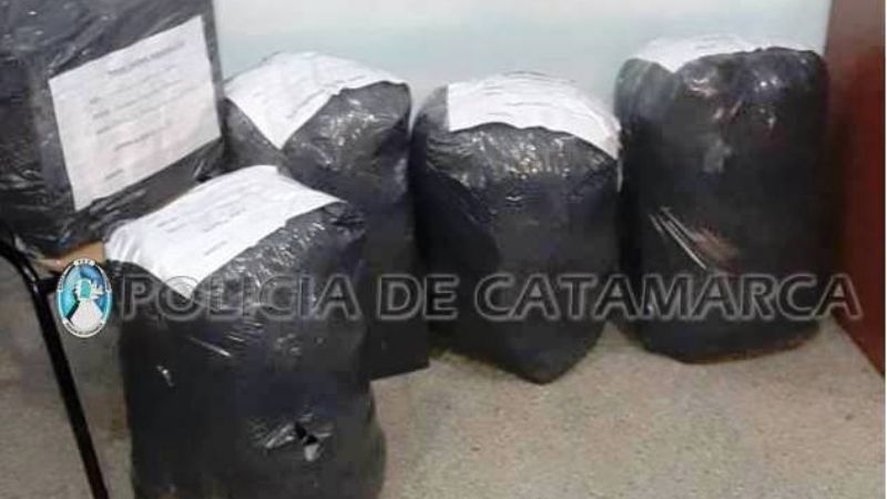 Secuestran mercadería ilegal y 25 porcinos faenados