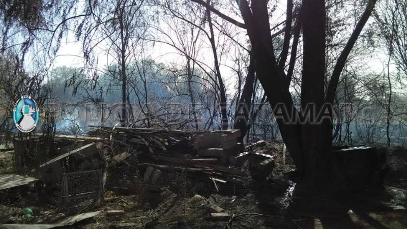 Detienen a un sexagenario por el incendio de varias hectáreas de viñedos