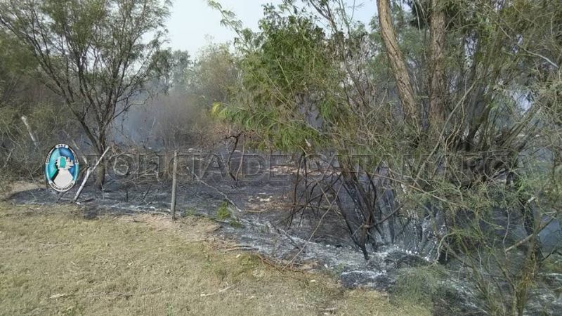 Detienen a un sexagenario por el incendio de varias hectáreas de viñedos