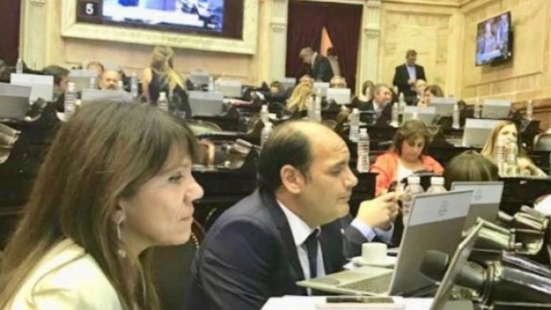 Los votos de los diputados catamarqueños por la despenalización del aborto