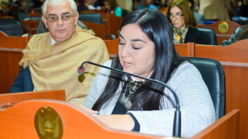 Declararon de interés el 82° aniversario de la Fundación de la Junta de Estudios Históricos