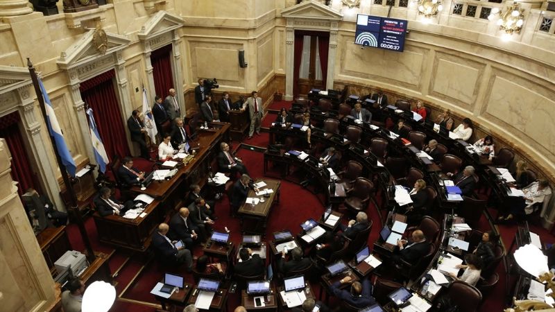 La discusión por la legalización del aborto se traslada al Senado