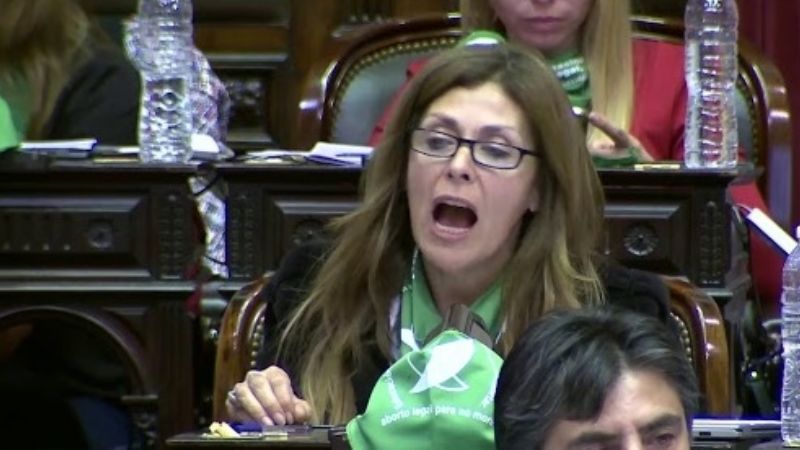 Las frases de los diputados catamarqueños sobre el aborto