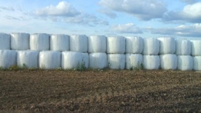 Módulo de reserva forrajera para el ganado