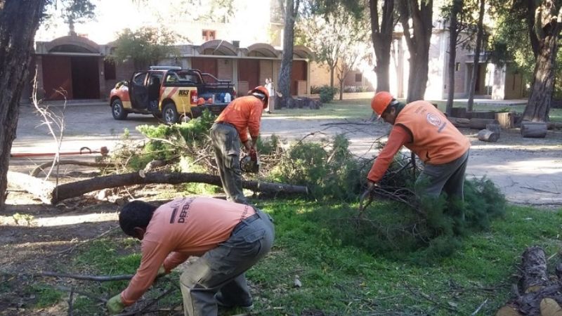 Defensa Civil podó árboles camino a El Jumeal