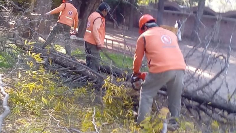Defensa Civil podó árboles camino a El Jumeal
