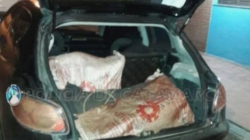 Arrestan a un joven y secuestran un auto y un animal faenado