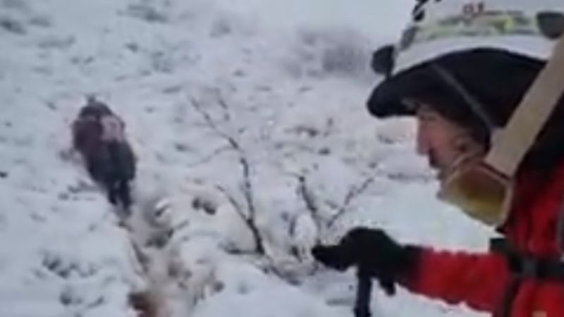 Aguilas de Fuego, declarados "Personalidad destacada"