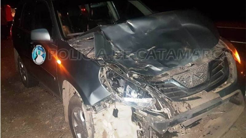 Otro accidente por animales en la ruta