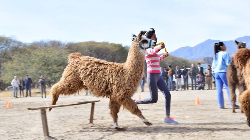 Inauguraron la gran Feria en el Mama Llama