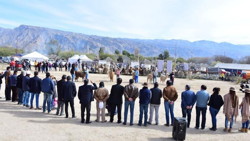 Inauguraron la gran Feria en el Mama Llama