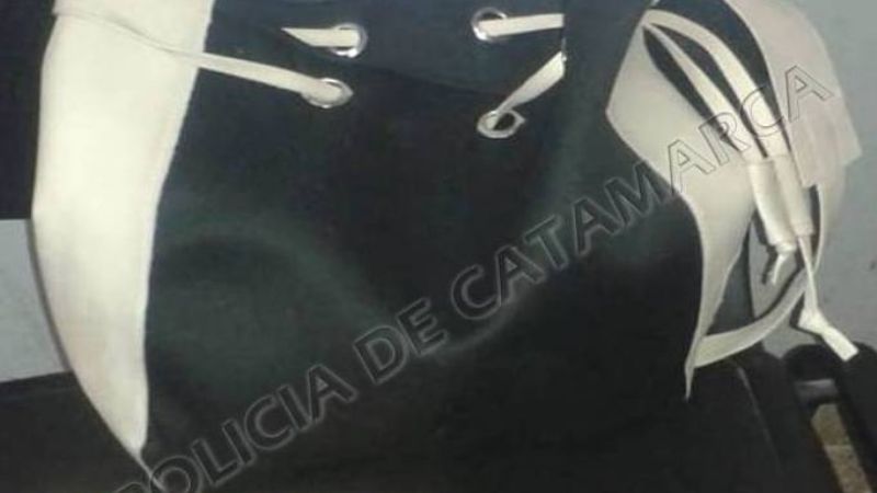 Le arrebató la cartera a una mujer mientras esperaba el colectivo