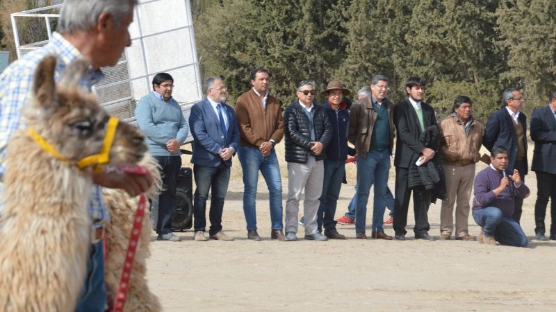 Santa María vivió a pleno la Feria  de la Llama y el Inti Raymi