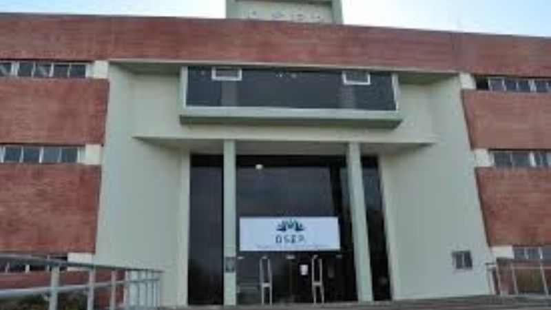 Empleados de OSEP adhirieron al paro