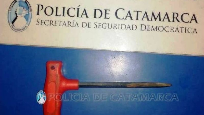 Arrebataron un celular, los persiguieron, se accidentaron y los atraparon