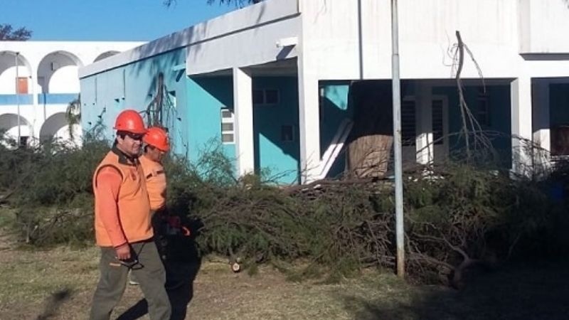 Limpieza y mantenimiento en el CIIC