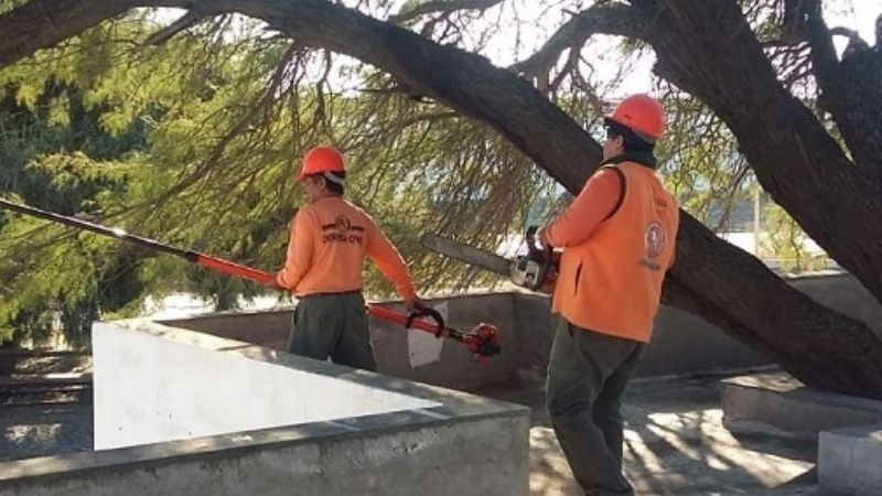 Limpieza y mantenimiento en el CIIC