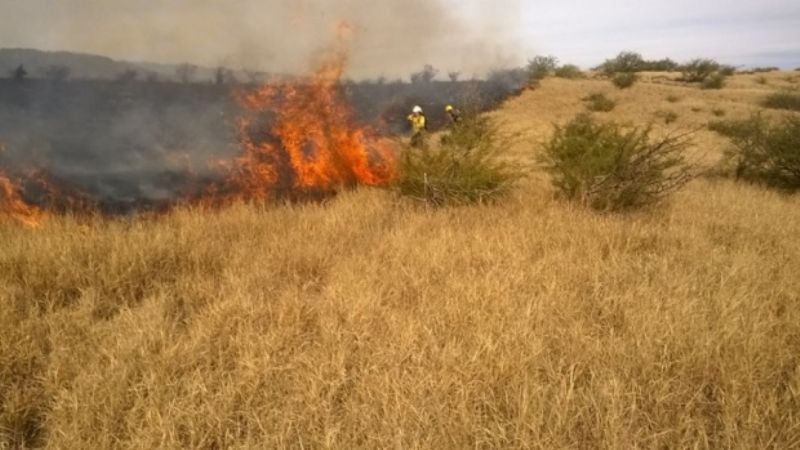 En 6 meses, se quemaron más de 1000 hectáreas por incendios