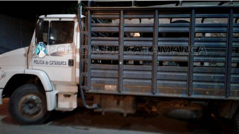 Secuestran animales sueltos en Pomán