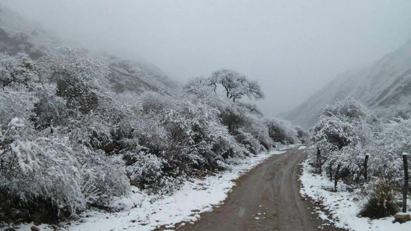Semana fría en el Valle Central y temperaturas bajo cero en el interior