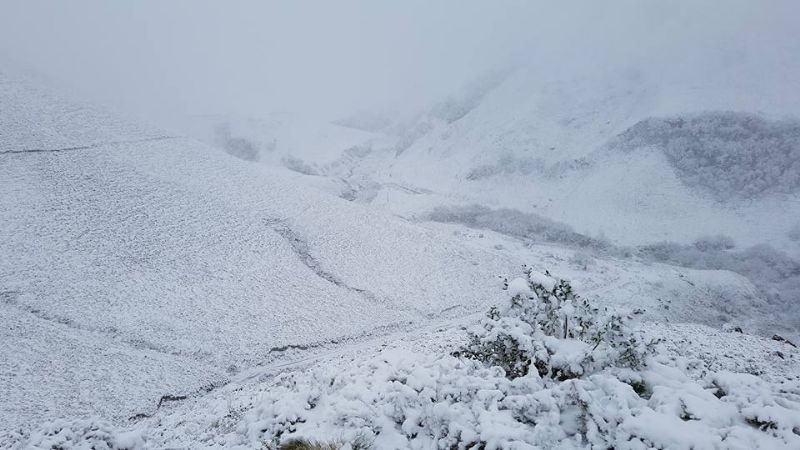 Informe completo de los bomberos “héroes” tras el rescate de funcionarios