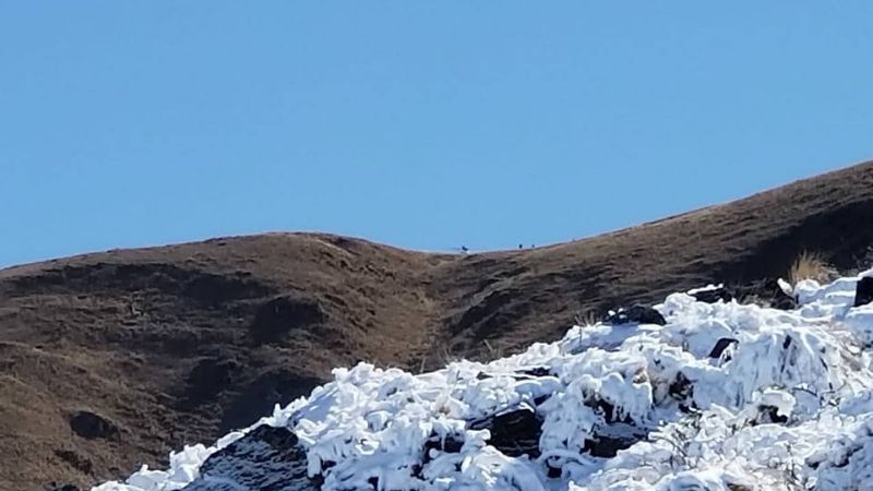 Informe completo de los bomberos “héroes” tras el rescate de funcionarios