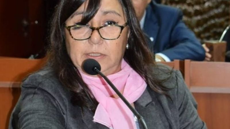 Propician acoger el “Amicus Curiae” en la administración de Justicia local