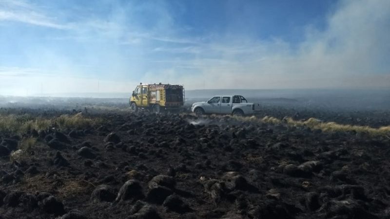 Incendio forestal arrasó con 7 hectáreas en el cerro Ancasti