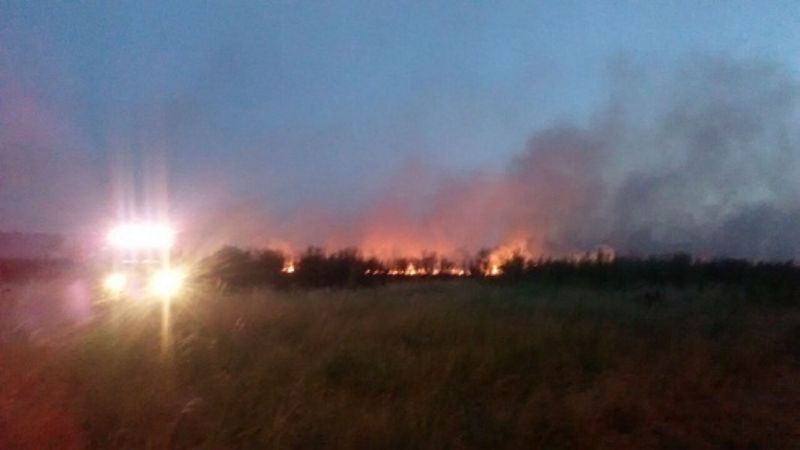 Incendio de pastizales en la ruta 4