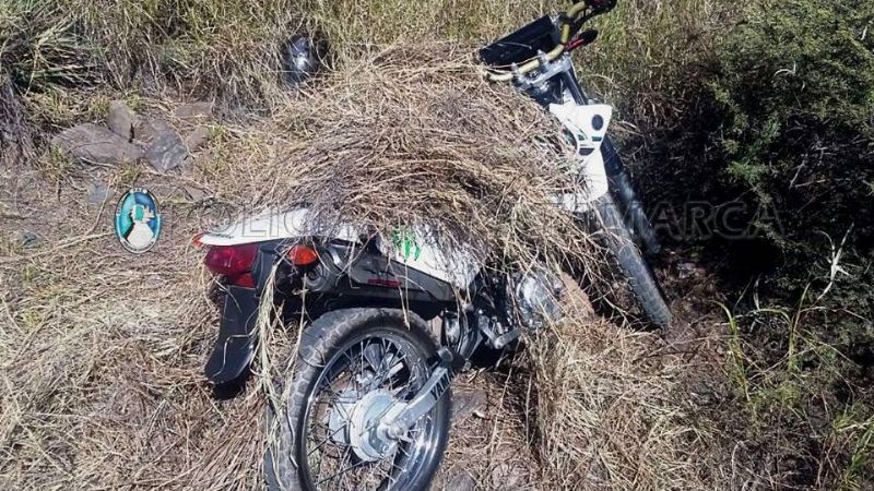 Encontraron una moto oculta entre la maleza